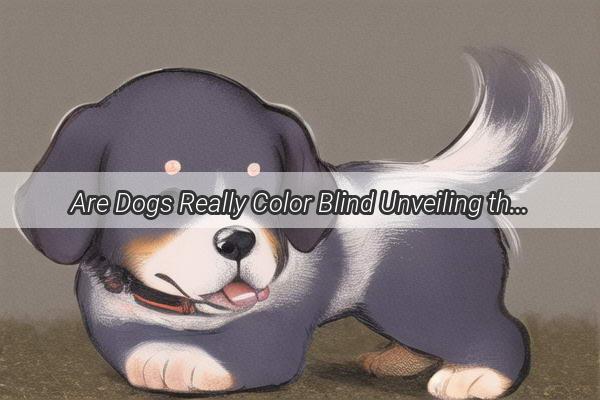 Are Dogs Really Color Blind Unveiling the Hidden World of Our Furry Companions